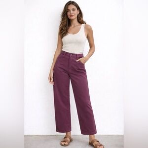 Emmett Wide Leg 25 Petite purple
